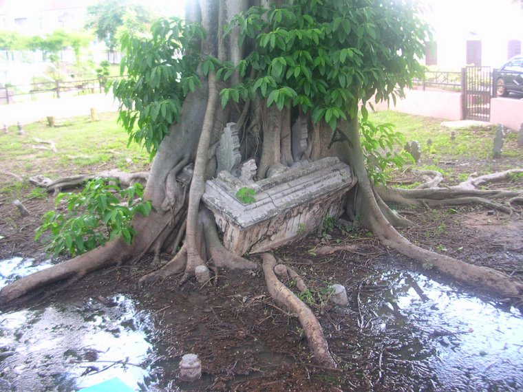 >>PUMINTHARAJA @ Makam Nang Che Puan, gambar terbaru