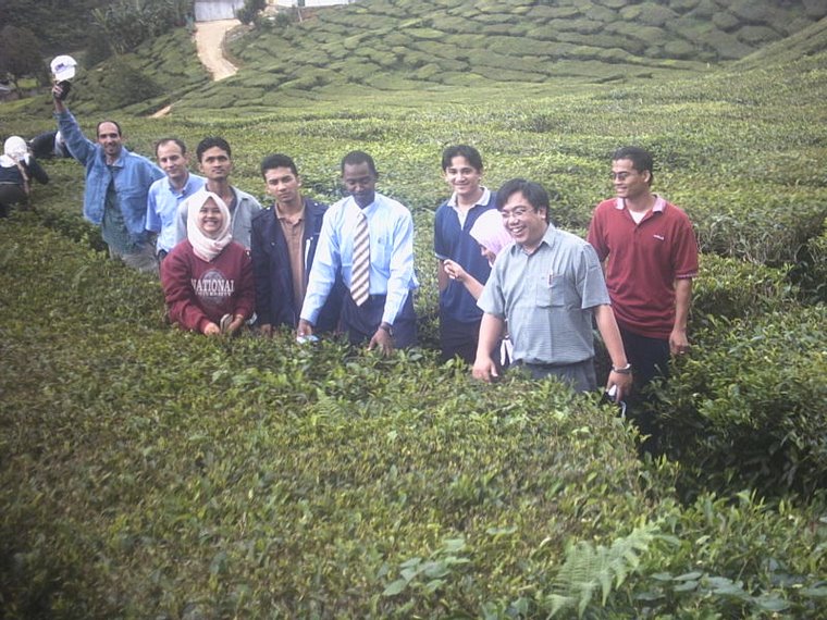 Cameron Highlands