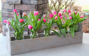 Toolbox Planter