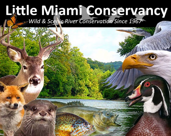 Little Miami Conservancy