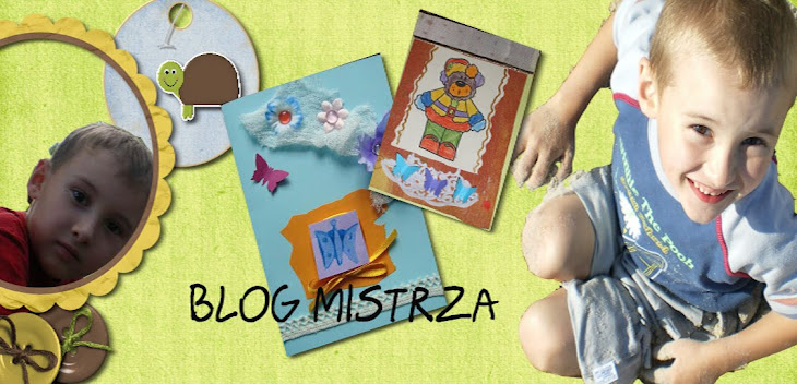 blog mistrza