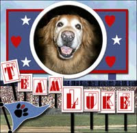 We Are Team the Luke