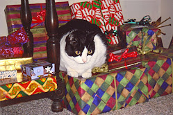 Another kitty that knows she's a present!