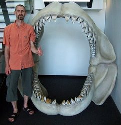 Megalodon - Does this massive shark still exist?