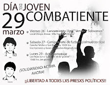 Dia Del Joven Combatiente