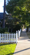 The Sidewalk In Front Of My House