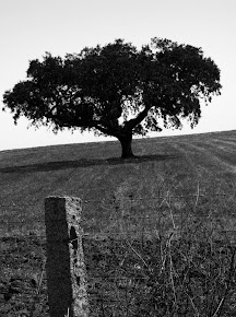 Alentejo