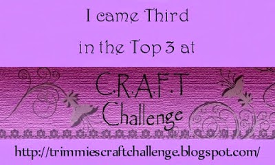 CRAFT Top 3