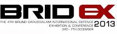 BRIDEX 2013