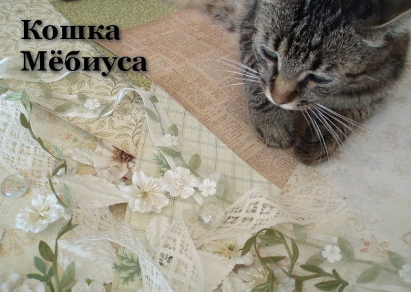 Кошка Мёбиуса