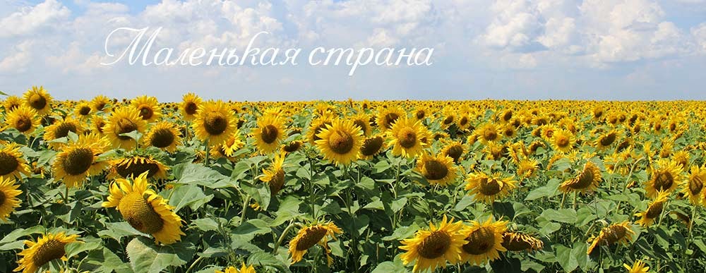 ~~~ Маленькая страна ~~~