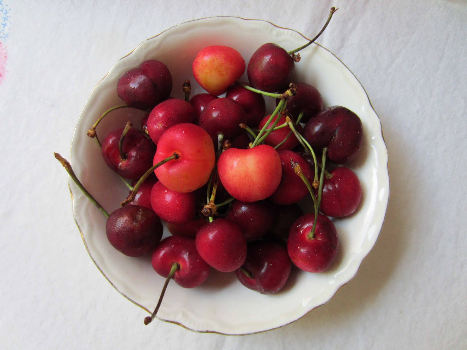 Bowl meaning life of cherries is a bowl of