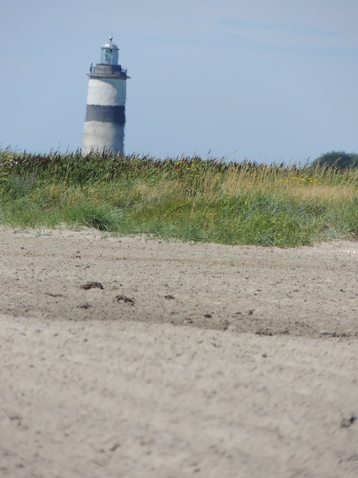 Olofsbo strand