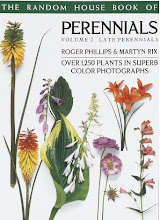 Perennials