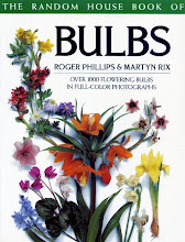 Bulbs