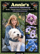 Annuals & Perennials