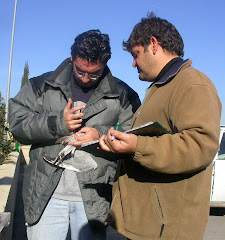 Óscar y Javier anillando una gaviota reidora en el vertedero de Pinto