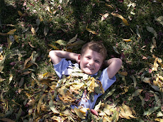 Cooper playing in the leaves