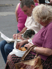 Dogs of the World - chip time in Brixham