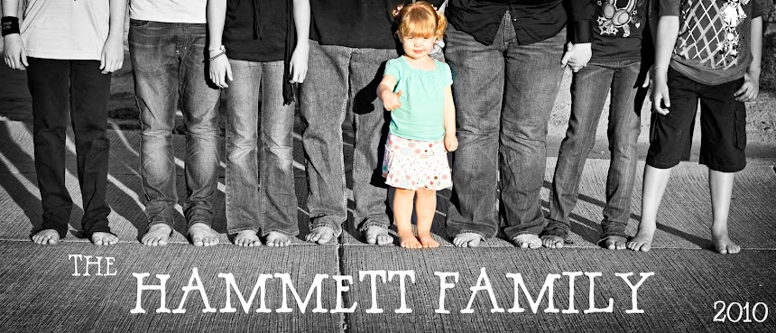 The Hammett Family ~ Established 2007