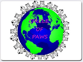 JOIN PAWS