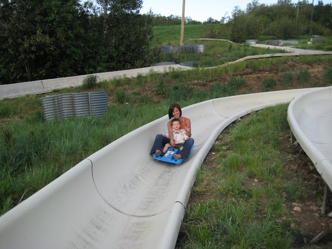 Alpine Slide