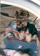 On her bed in the car