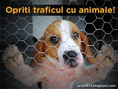 Opriti traficul cu animale!