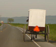 Amish Buggy