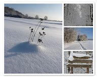 Pologne en hiver / Winter in Poland