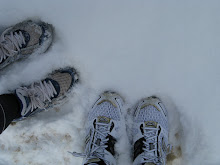 Snow Treads!