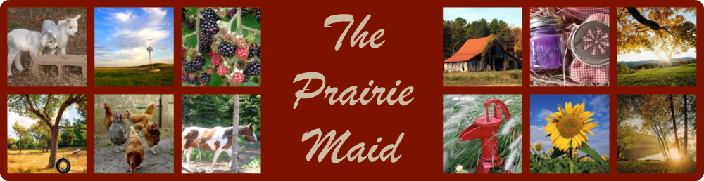 The Prairie Maid