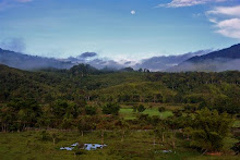 Sarawakians Want Land Reform!