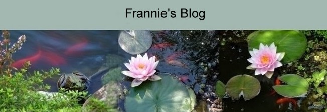 Frannie's Blog