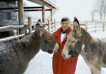 Primrose Donkey Sanctuary