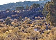 Plein-Air painting w /Jean LeGassick