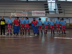 Equipa da epoca 2008 / 2009