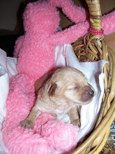 Here I am at the age of 1wk old...