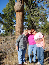 Lovely Ladies Standing by the Burl