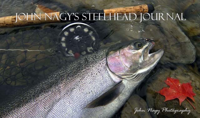 John Nagy's Steelhead Journal