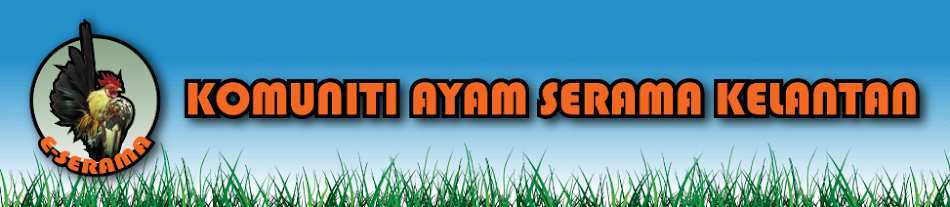 Ladang Ayam Serama Dengan Baka-Baka Terbaik Kelantan