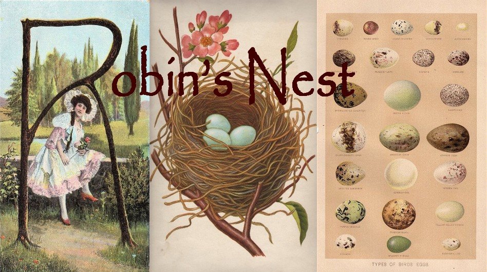 A Robin's Nest