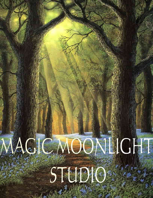 MAGIC         MOONLIGHT           STUDIO