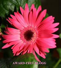 Award-free blogg