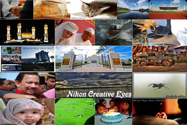 nikon creative eyes