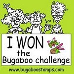 Winner at Bugaboo