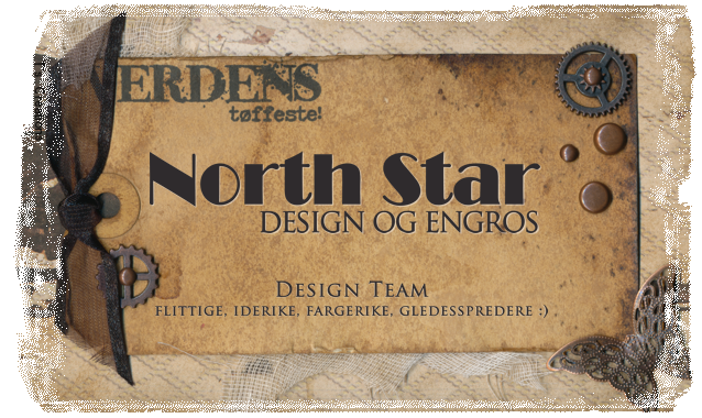 Design Team for North Star Design og Engros