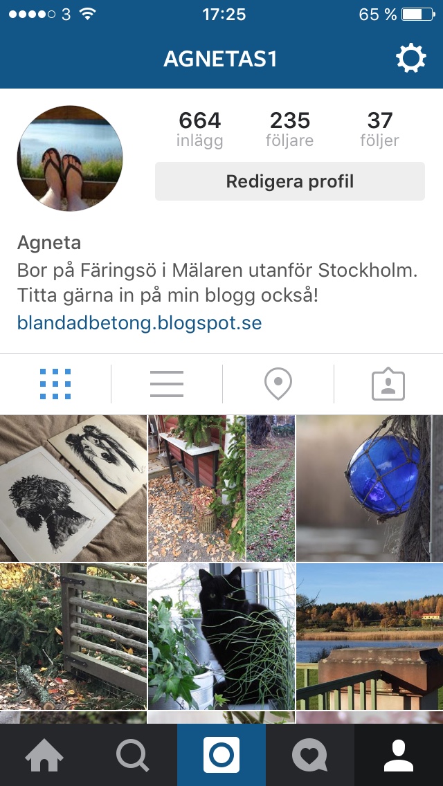 Klicka på Instagramsymbolen ovan