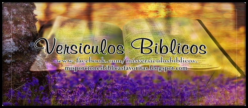 Versículos Biblicos