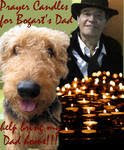 In Loving Memory of Bogart's Dad